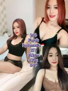 Picture of 266 Farah