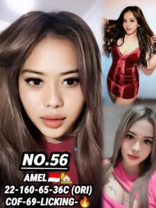 Picture of 56 – Amel