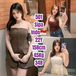 Picture of 501 – Sipa