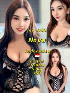 Picture of 342 – Nova