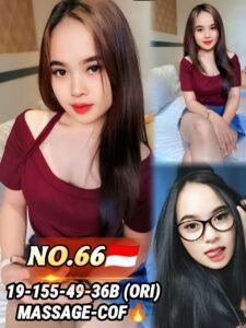 Picture of 66