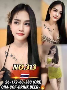 Picture of 313